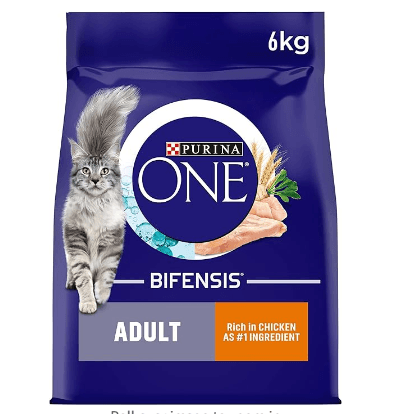 Purina ONE Adult Dry Cat Food