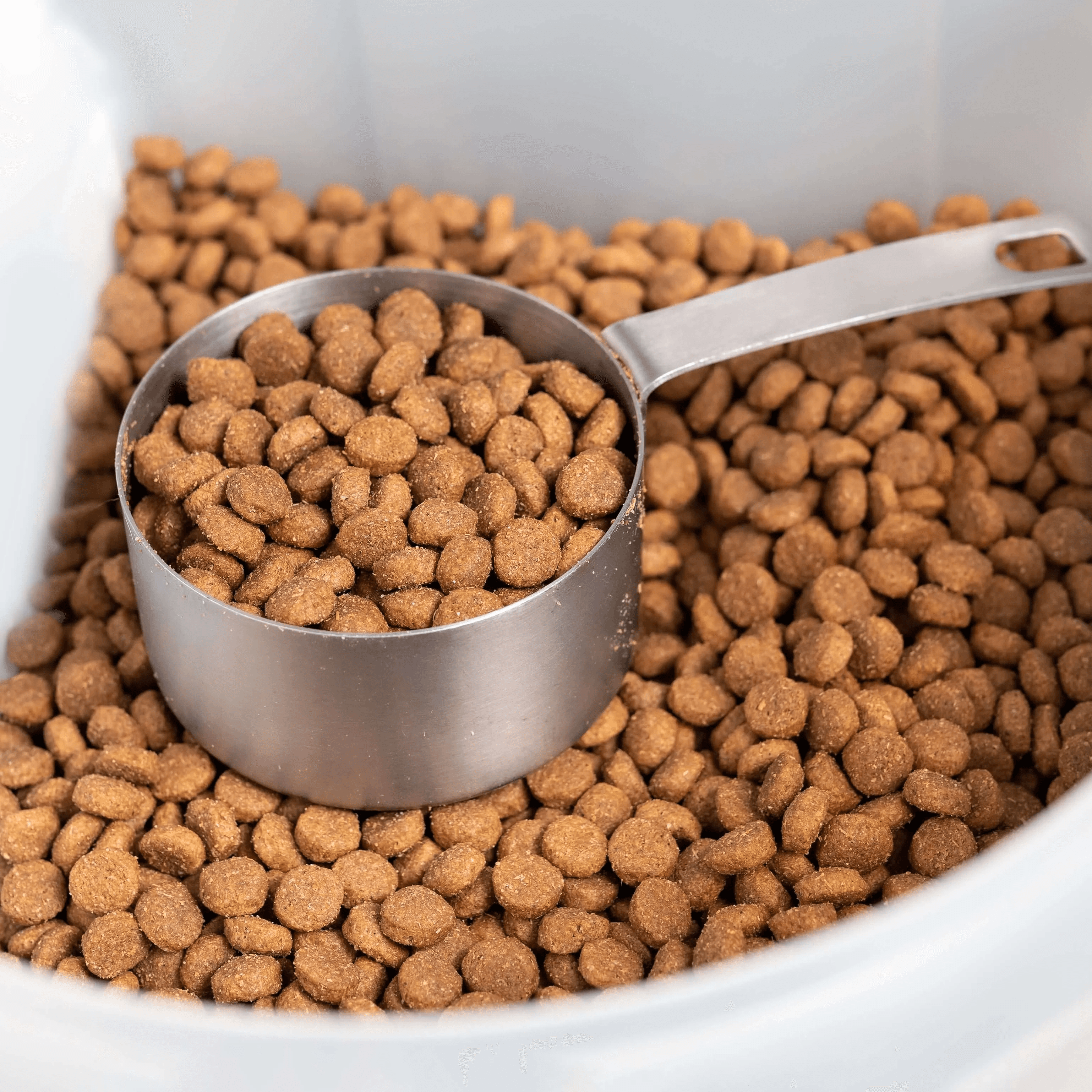 Quality check of ZeenMart pet food