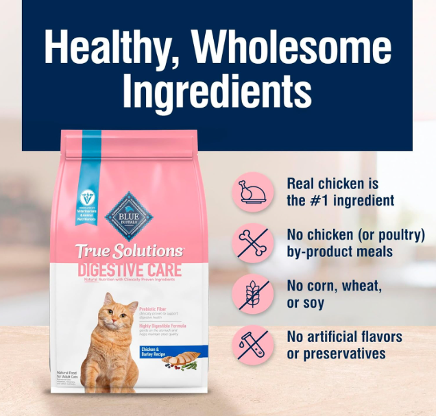 Blue Buffalo Dry Cat Food Digestive Care | ZeenMartg